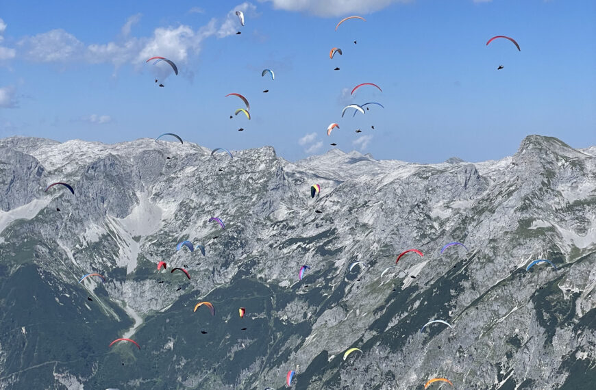 Startpulk Ikarus Open 2021